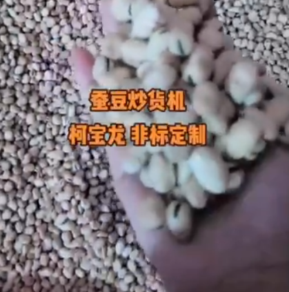 蠶豆炒貨機(jī)，非標(biāo)定制