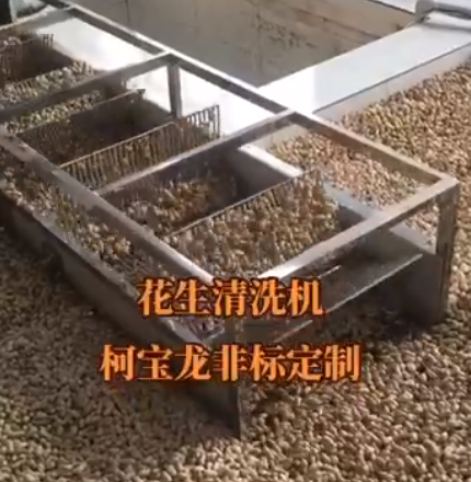 花生清洗機，可非標定制